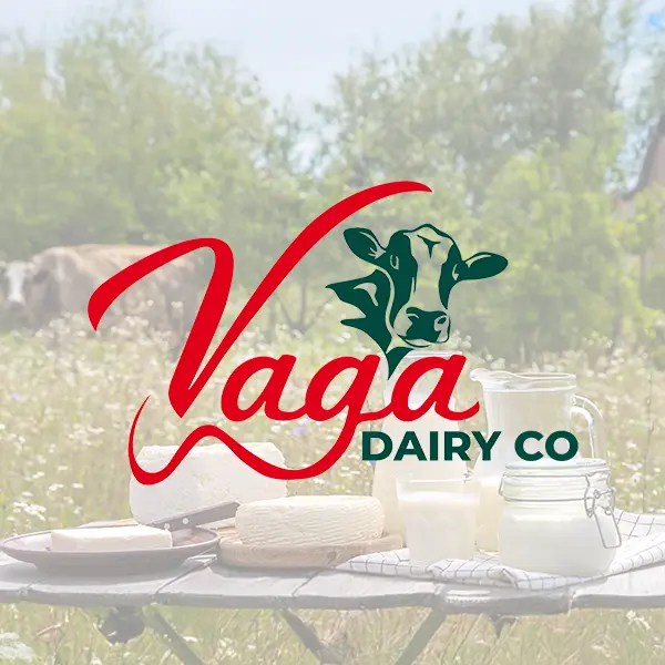 Vaga Rotherham Vaga Dairy — E-Skills Agency Project